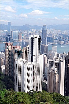soi cau scv