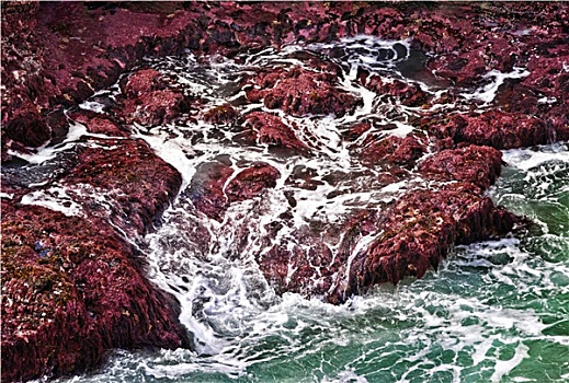du doan xo so miễn nam