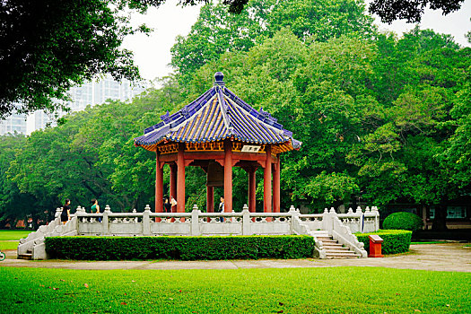 soi cầu 29 hôm nay