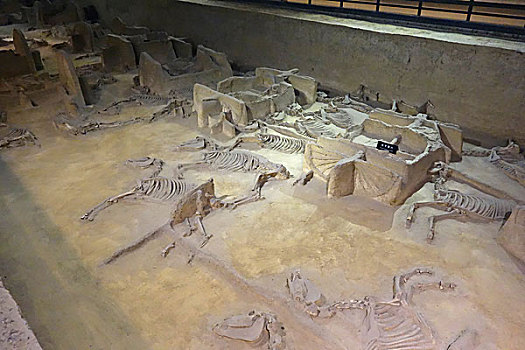 diễn đàn xổ số