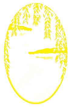 soxokienthiet