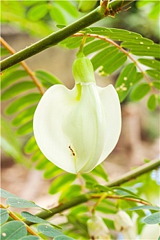 soi cầu đề miền bắc