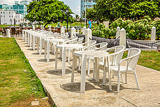 đá gà trực tiếp bình luận viên hôm nay