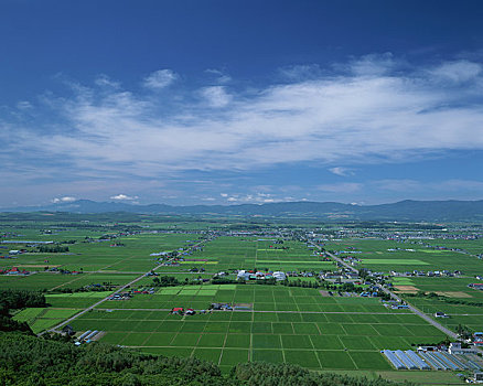 xổ số 100 ngày