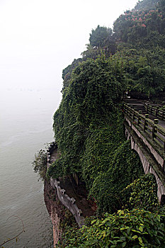 soi cau chinh xac
