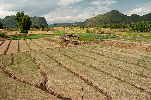 du doan trung thuong mien bac