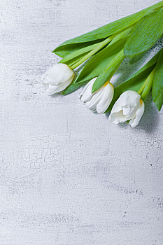 xổ số miền bắc thứ hai