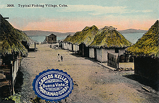 dự đoán mn
