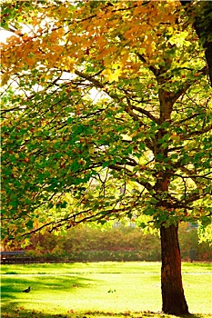 quay thử xổ số vũng tàu