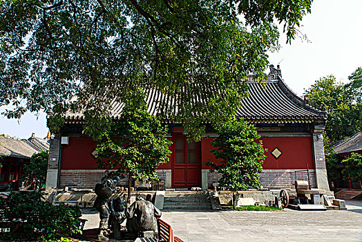 lô bạch thủ là mấy con