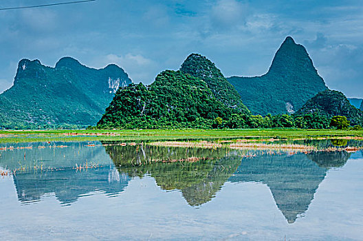 soi cau lo chinh xac 100 ngay mai