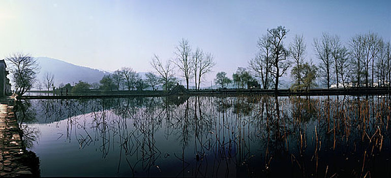 dự đoán mn