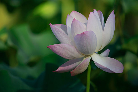 cách đánh số đề bao lô