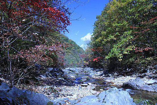 du doan lo kep