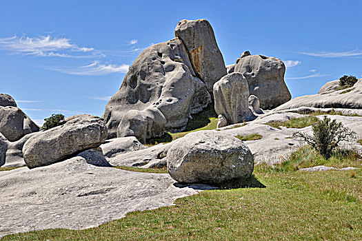 đá gà thomo ngày 6 tháng 7