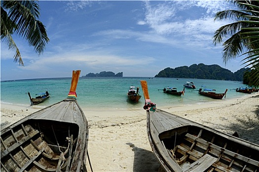 soi cau thanh lo than de
