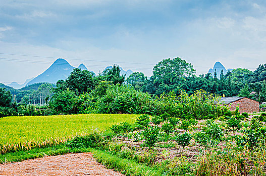 soi cau mb mien phi
