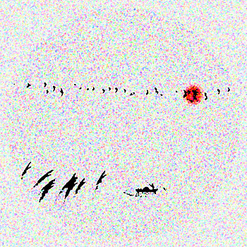xsmn thu 2 du doan