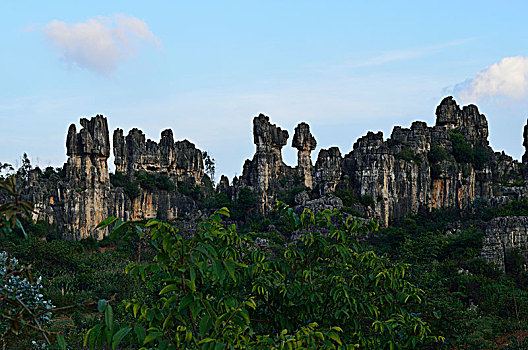 êo bong da hom nay
