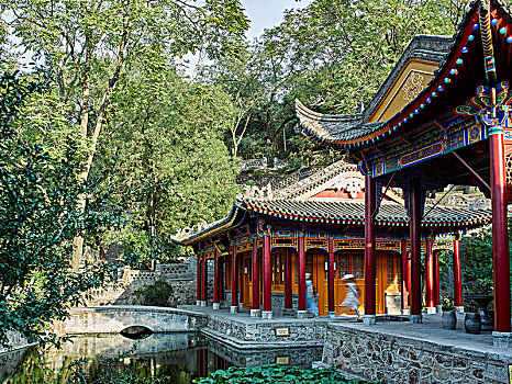 lo rong bạch kim