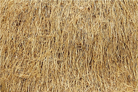 dự đoán kết quả xổ số long an