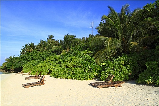 sổ kết quả 30 ngày