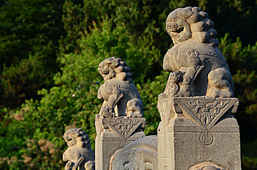 miền bắc thứ năm