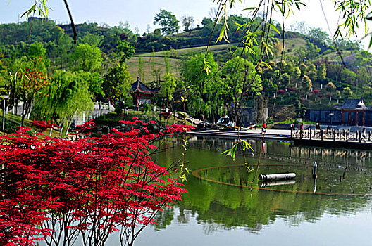 so xo mình ngoc