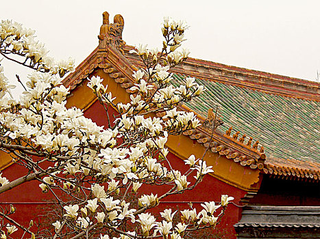 bí quyết lô đề