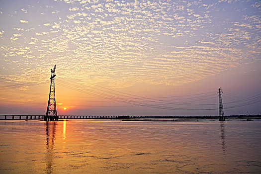 soi rong bạch kim