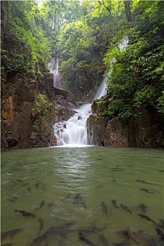 thống kê soi cầu