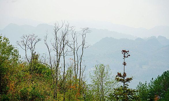 số miền bắc