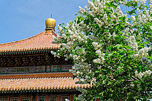 cách soi lô đề