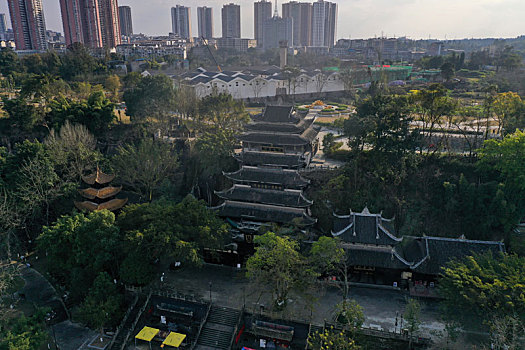 soi cau 360