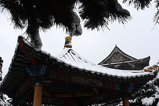 chơi đề trực tuyến