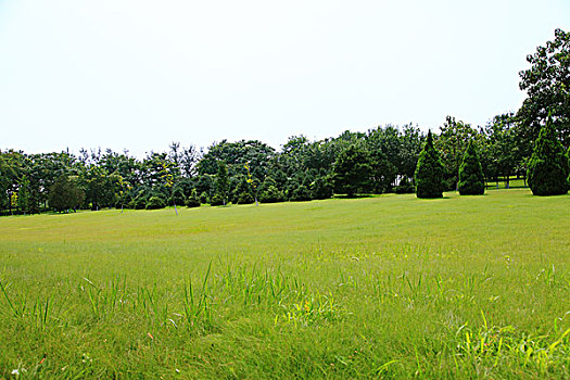 soi cầu giờ vàng chốt số