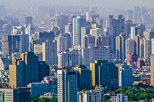 soi rong bạch kim