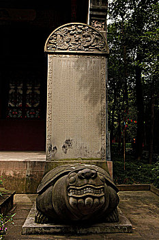 soi cau 366