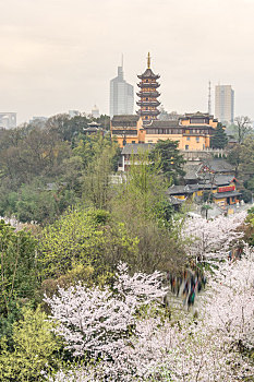 soi cau mn minh ngoc