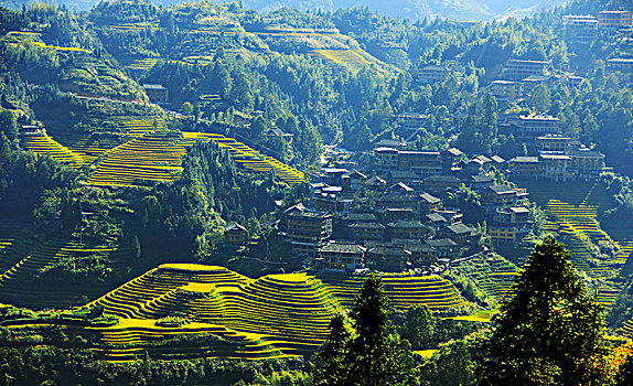 cách đánh song thủ lô