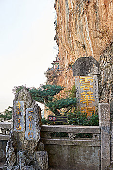 soi cau 88 rong bach kim