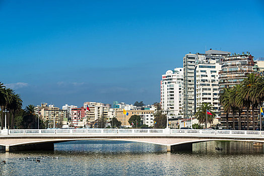 soi câu miền bắc miễn phí