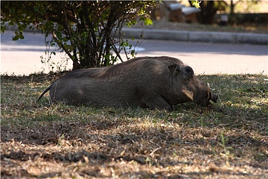 cách chơi đề đầu đuôi