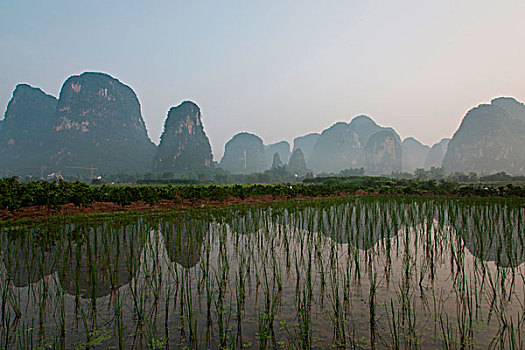 lo bach thu khung 3 ngay