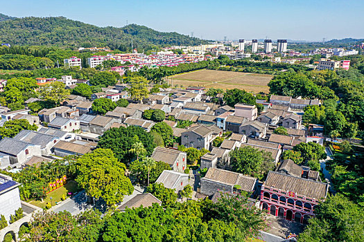 đề online