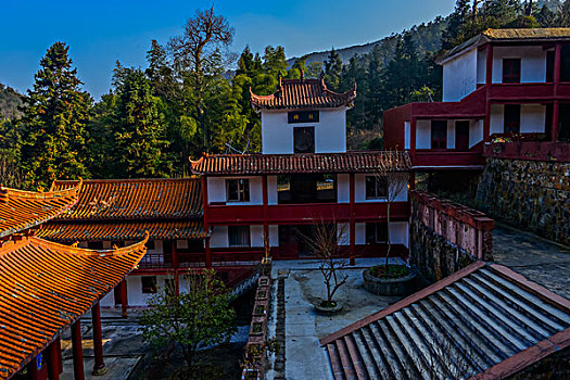 soi cau lo bach thu 8785