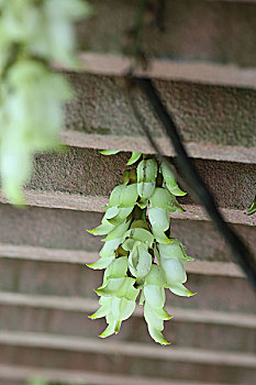 dự đoán xsmb hôm nay