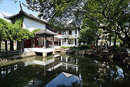 bạch thu lo de