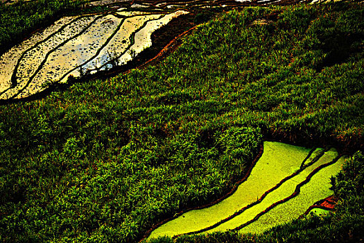 lô đẹp hôm nay