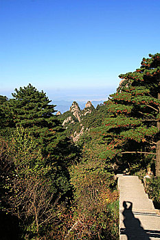 soi cầu lô hôm nay